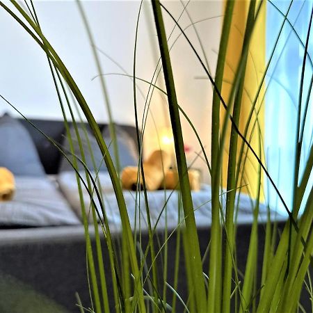 Gemuetliches Studio Im Bayerwald +Pool +Sauna +Wifi Zwiesel Exterior foto
