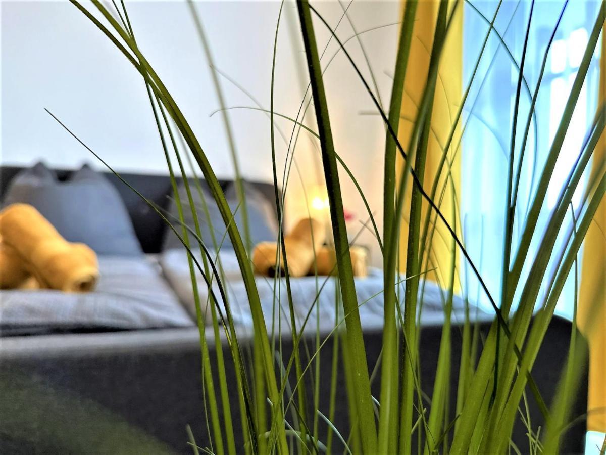 Gemuetliches Studio Im Bayerwald +Pool +Sauna +Wifi Zwiesel Exterior foto